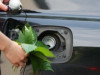 Izsniedz Latvijā pirmo biodegvielas kvalitātes atbilstības sertifikātu biodīzeļdegvielas ražotājam